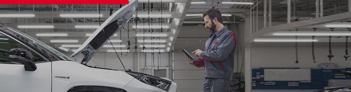 TAVA TOYOTA IR PELNĪJUSI VISLABĀKO